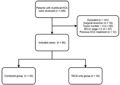 Transarterial chemoembolization with 125I seed insertion for multifocal hepatocellular carcinoma